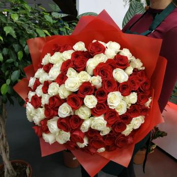 Букет Букет из 101 розы (красные и белые розы) [Артикул: 58106nizniy]