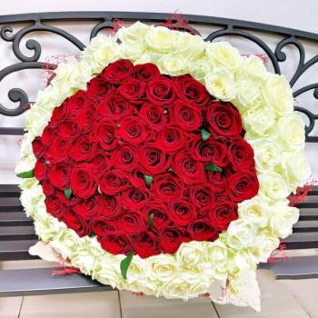 Букет 101 красно-белая роза articul: 99586innov