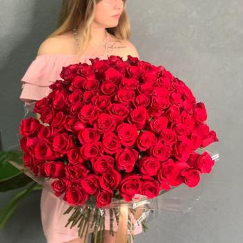Букет Букет из 101 красной розы (№  58956nn)