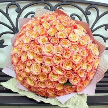 Букет Оранжевые розы Эквадор 101 шт (50 см) articul - 101524