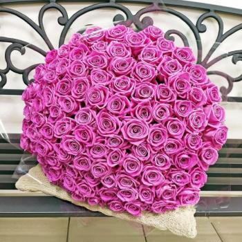 Розовые розы Эквадор 101 шт (50 см) код товара  101456nizniy